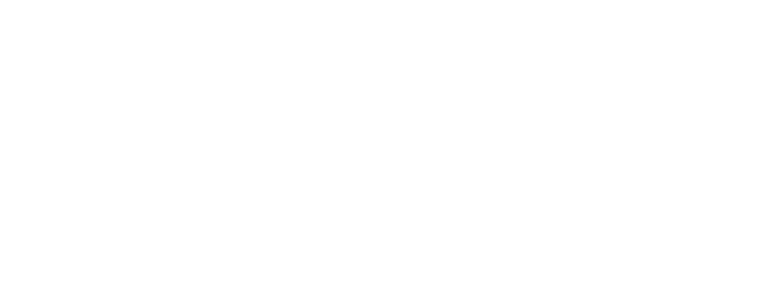 Zalando - Digital Alchemist