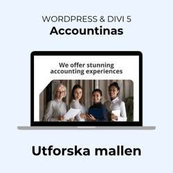 Patrik Design Stockholm - Accountinas - Hemsidemall - Divi 5 - Layout - Accounting - Redovisnings mall